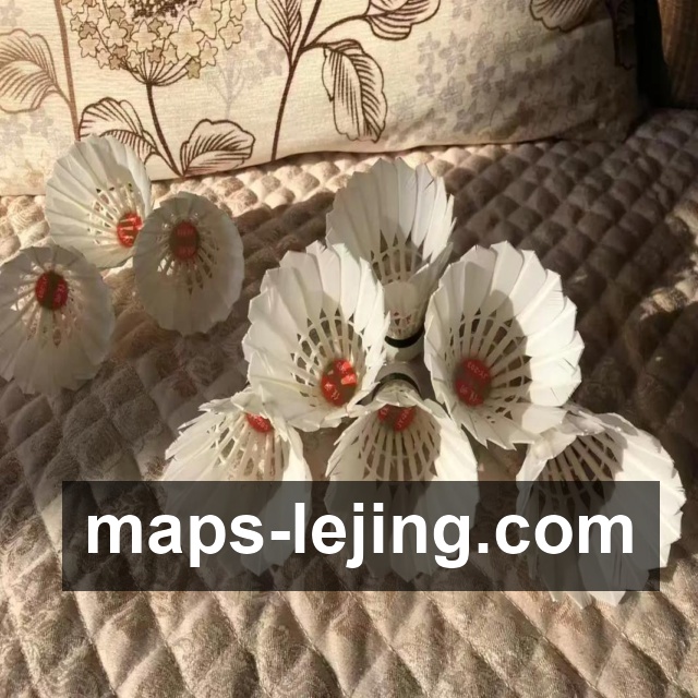 <strong>Lejing Sports</strong>账号风险防护